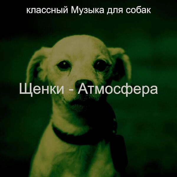 классный Музыка для собак