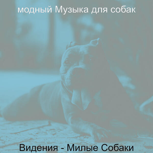 модный Музыка для собак