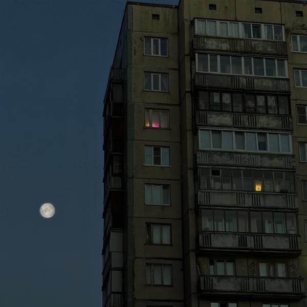Тысяча игл