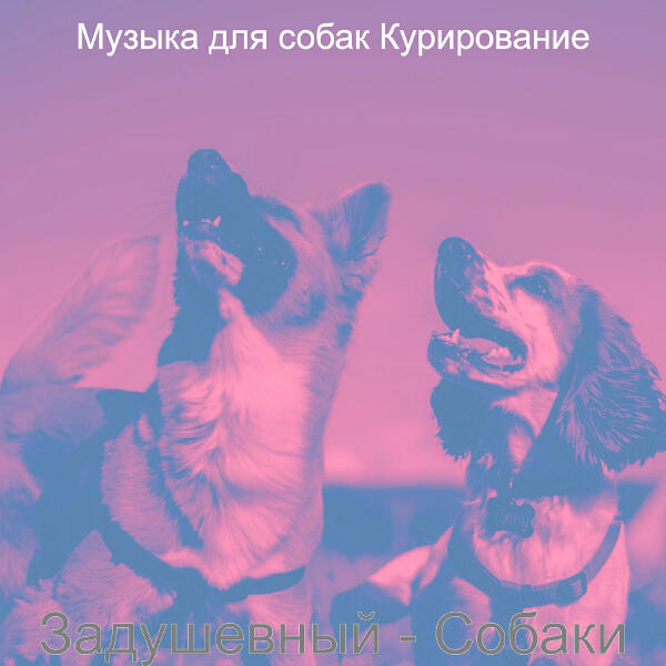 Музыка для собак Курирование