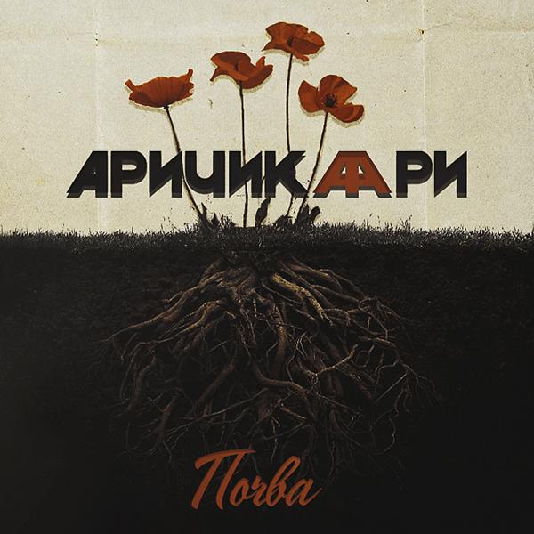 Аричикаари