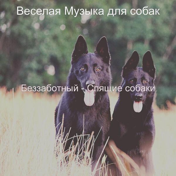 Веселая Музыка для собак