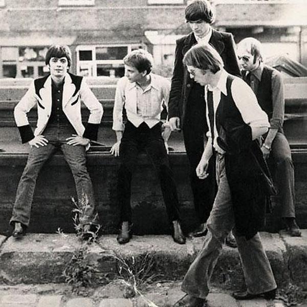 Flamin' Groovies