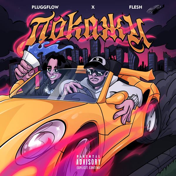 Pluggflow