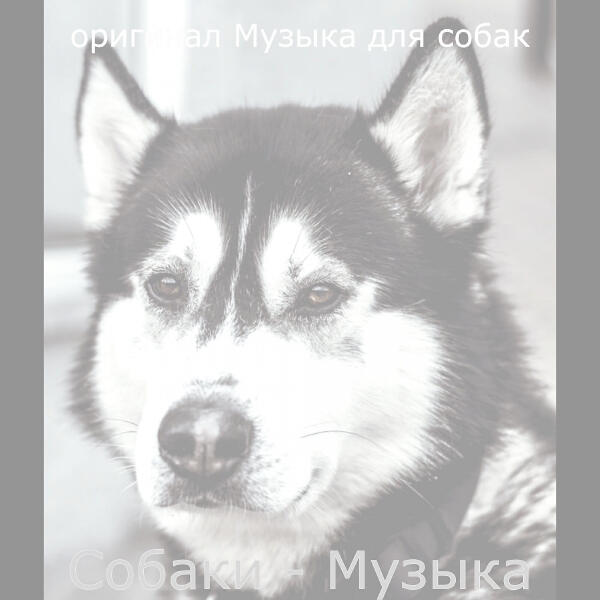 оригинал Музыка для собак