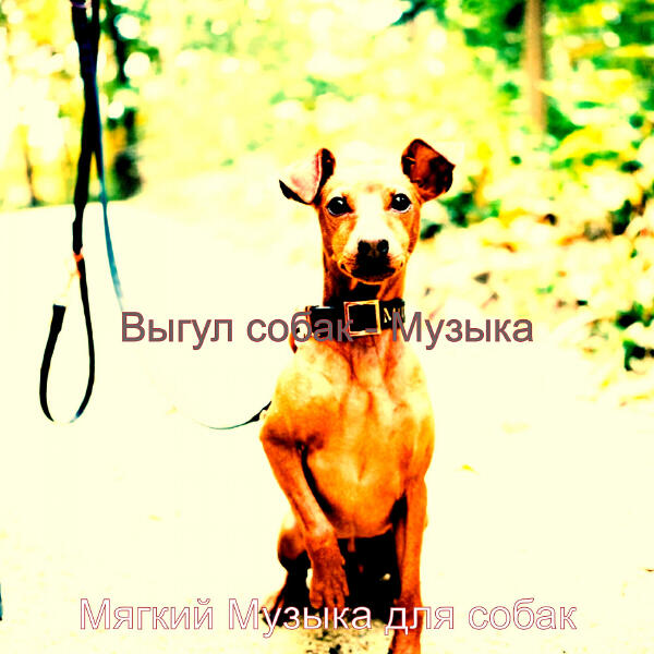 Мягкий Музыка для собак