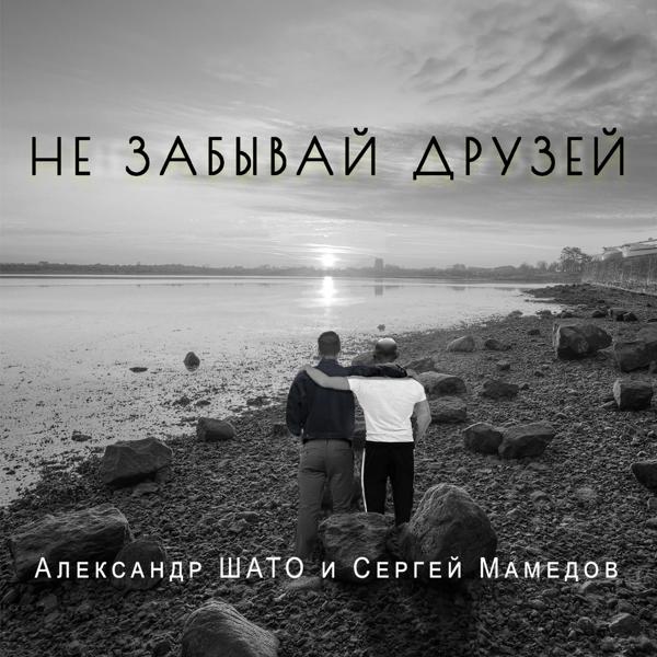 Сергей Мамедов
