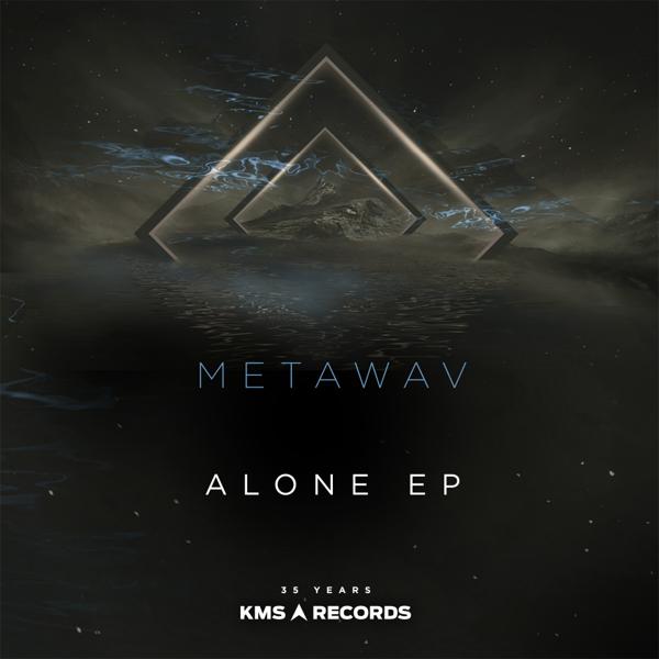 Metawav.