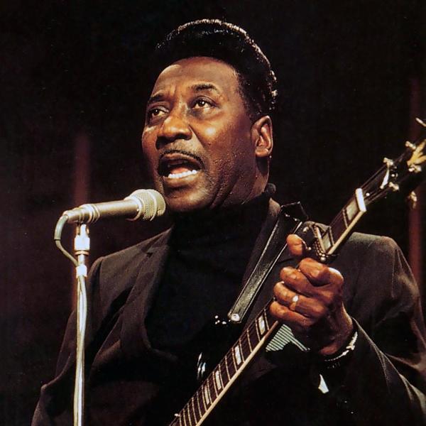 Muddy Waters
