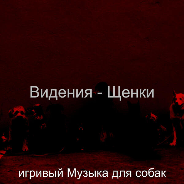 игривый Музыка для собак