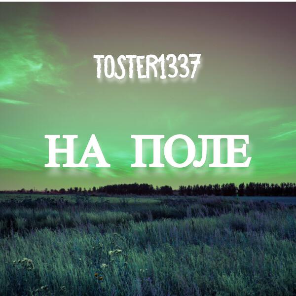 toster1337