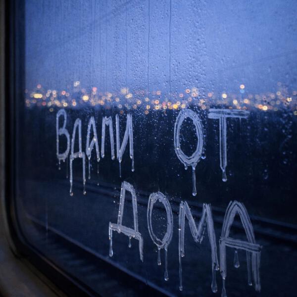 Горький дефицитный чай