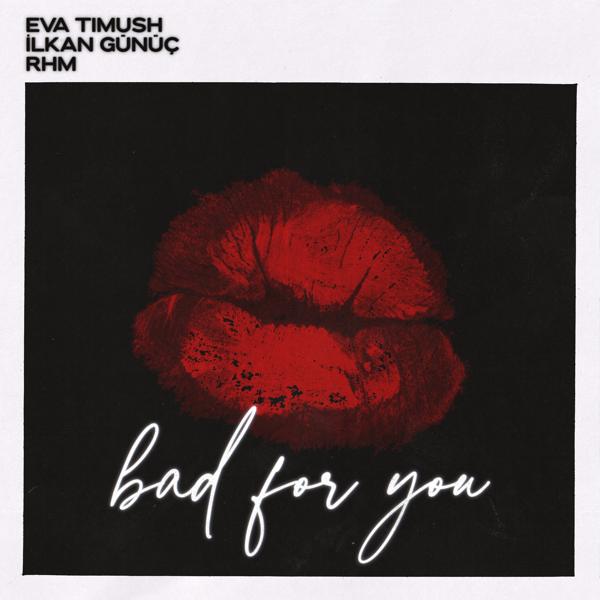 Romanian House Mafia