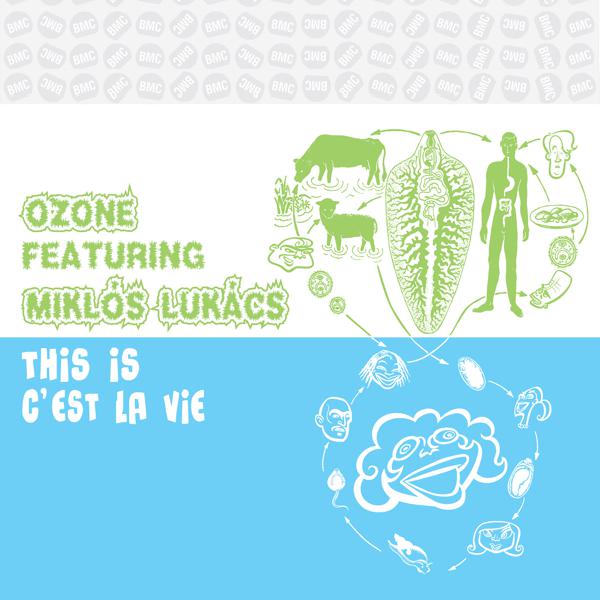 Miklós Lukács